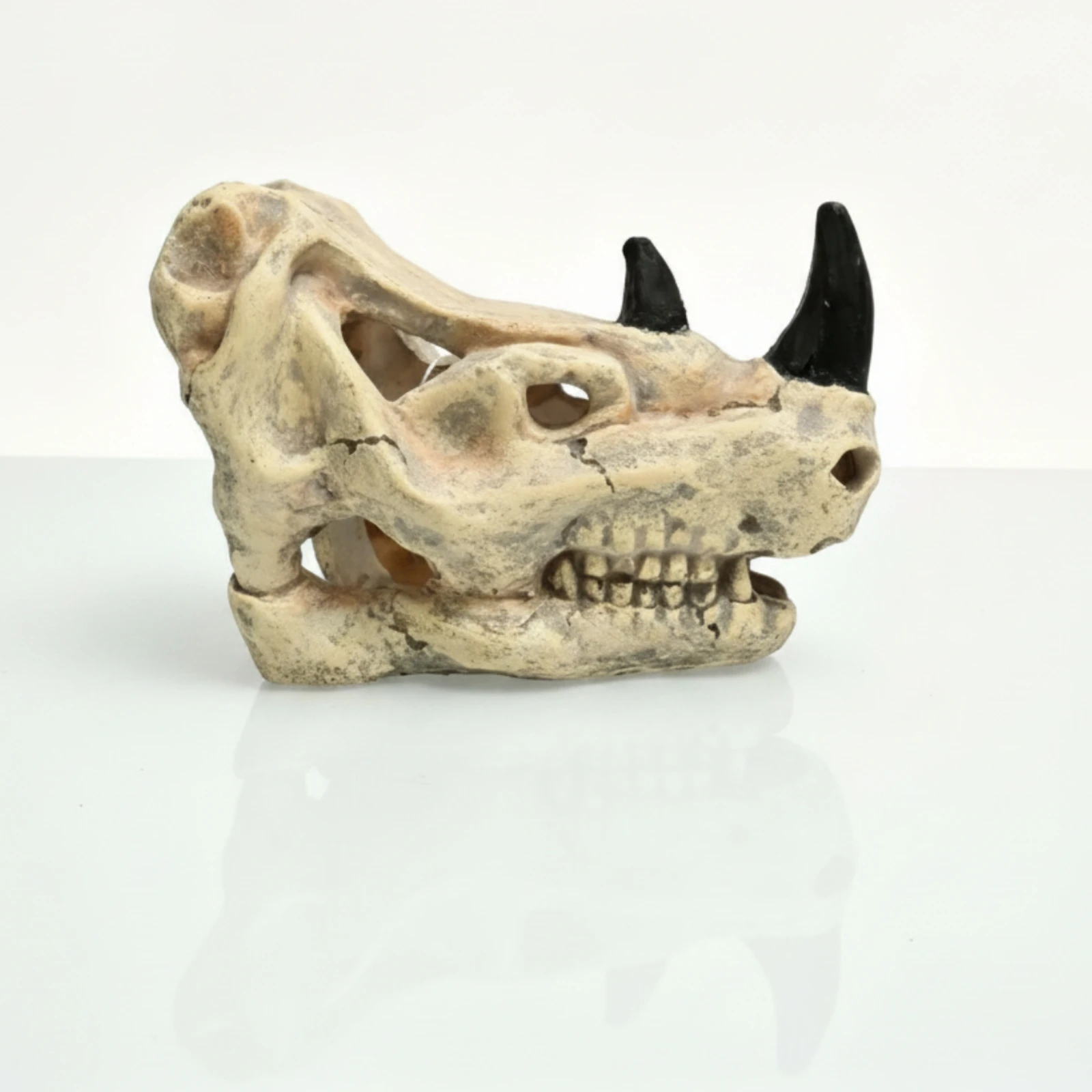 Skull Hideout Resin Reptile Hide Aquarium Skull Hollow Tank Hide Weathered for Reptiles, Terrarium