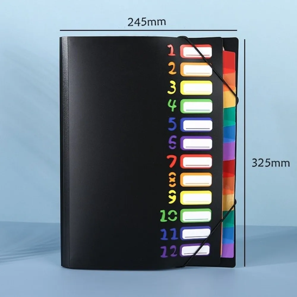 High Quality 13 Pockets Expanding File Folder Portable Rainbow Inner Page Organ Bag PP A4 File Organizer for Students