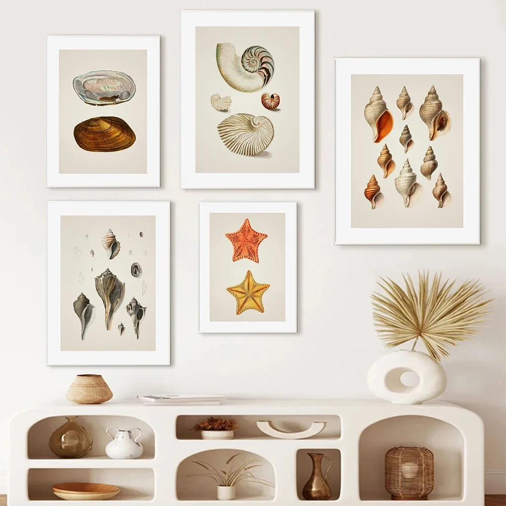 1pc frameless Canvas painting Wonderful Marine Life Starfish Conch and Lobster Cute Canvas Posters and Printed Pictures for Bedr