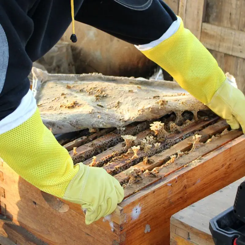 A Pair Of Protective Beekeeping Gloves Net Goatskin Bee Keeping Vented Long Protective Sleeves Beekeeping Equipment And Tools