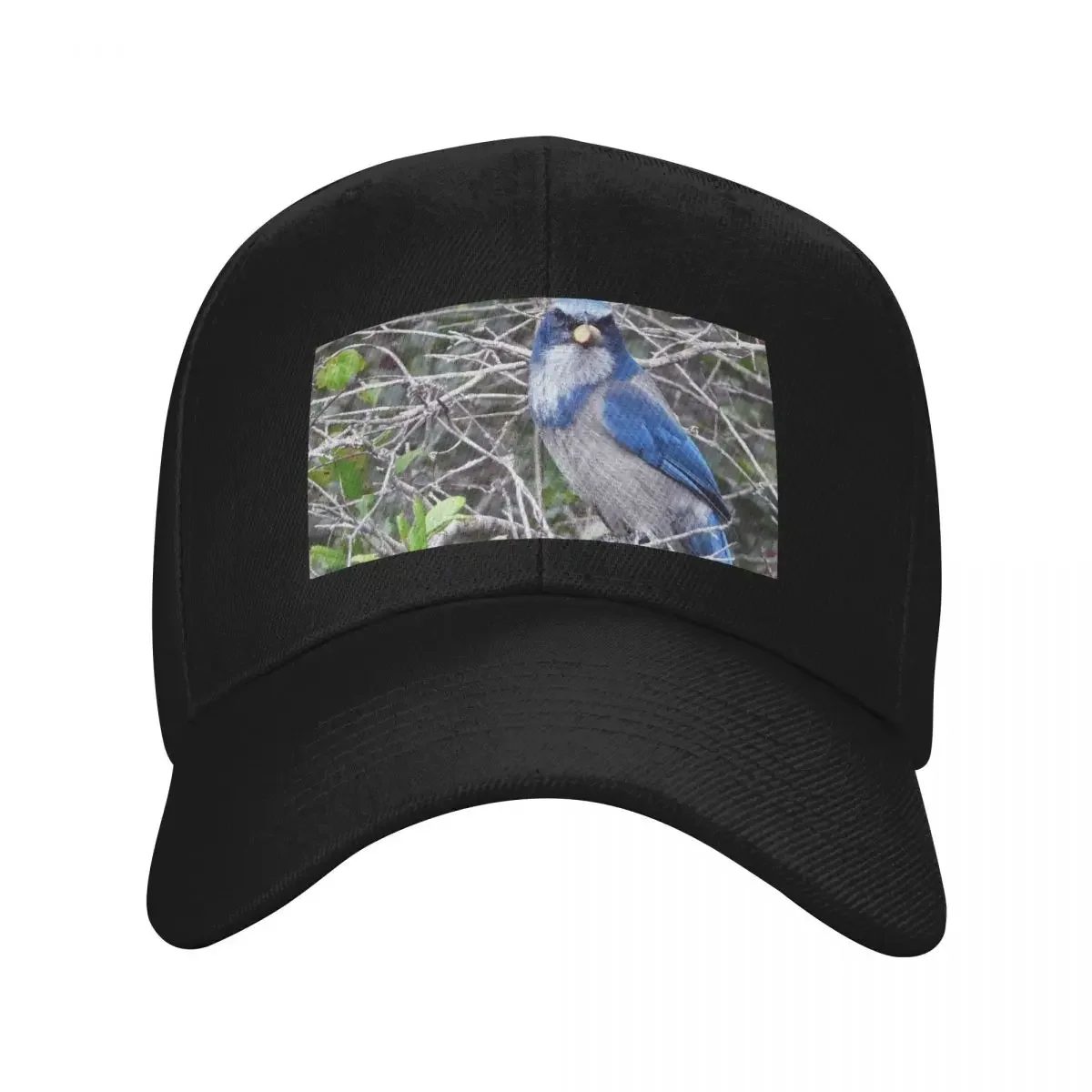 

Scrub Jay Baseball Cap Mountaineering men's big size hat Icon Men Golf Wear Women's