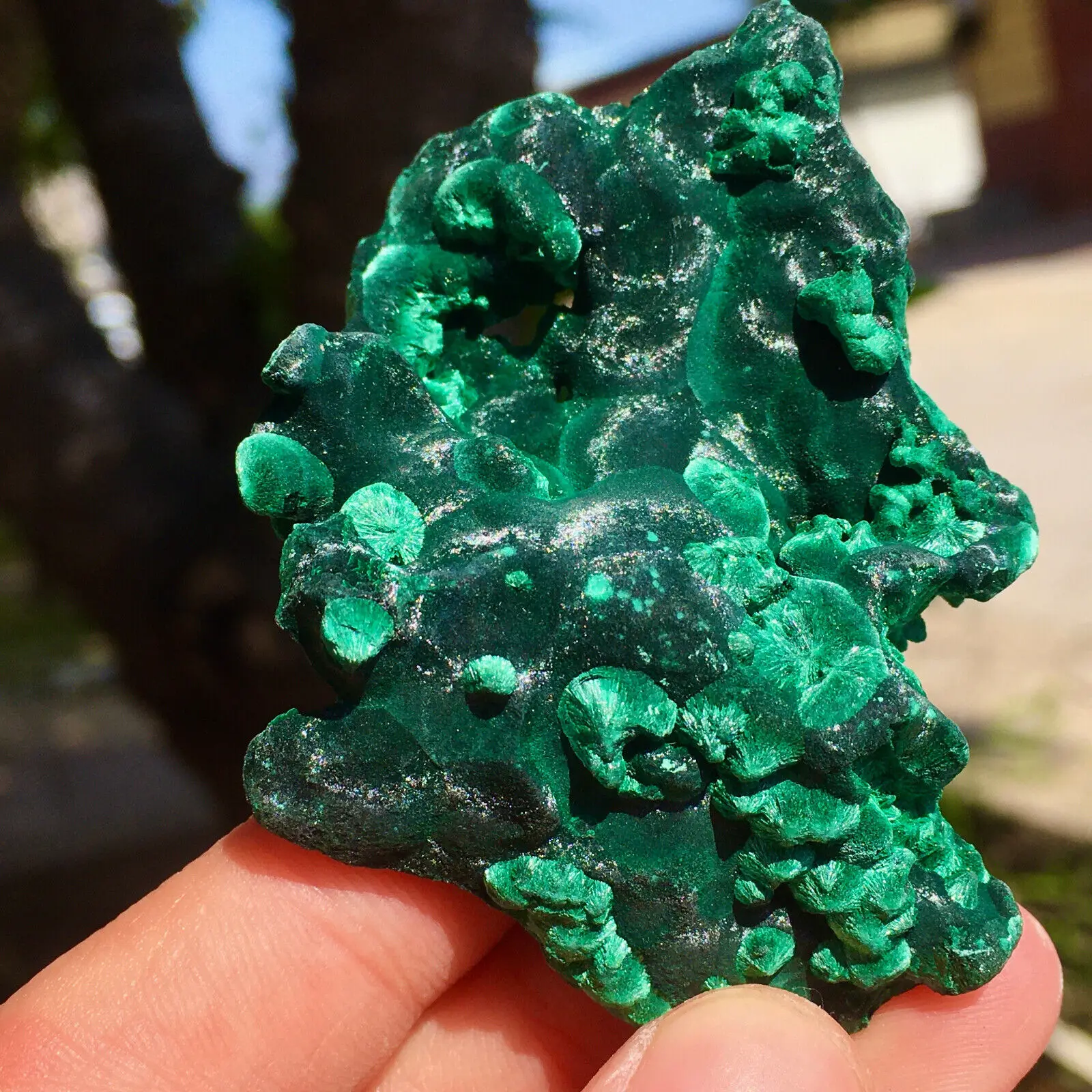 Magical Natural Acicular Malachite Cluster Quartz Crystal Restoration Specimen Healing Home Office Degaussed Decorative Gem 1pc