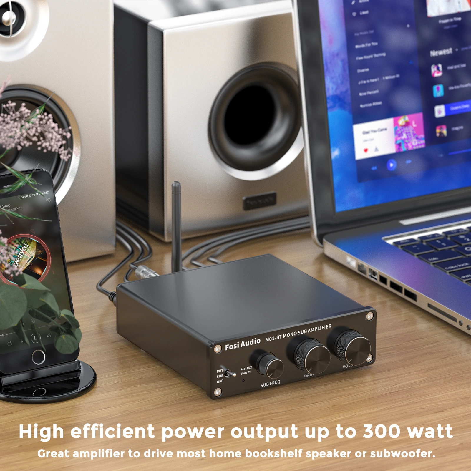 Fosi 오디오 M01-BT 블루투스 앰프, 홈 스피커용 1 채널 모노 앰프, 300W