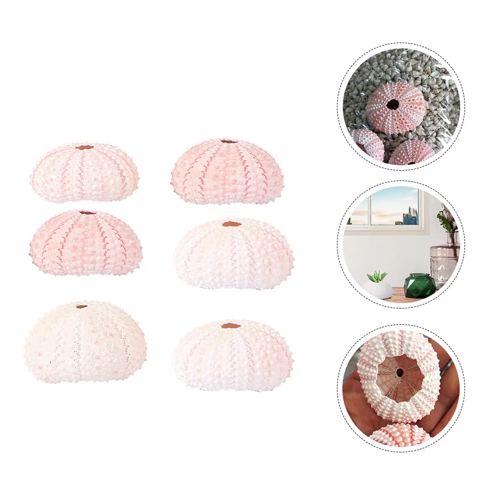 6 Pcs DIY Conch Shell Lovely Planter Sea Flowerpots ​​ White Succulent Home Decor Tabletop Creative