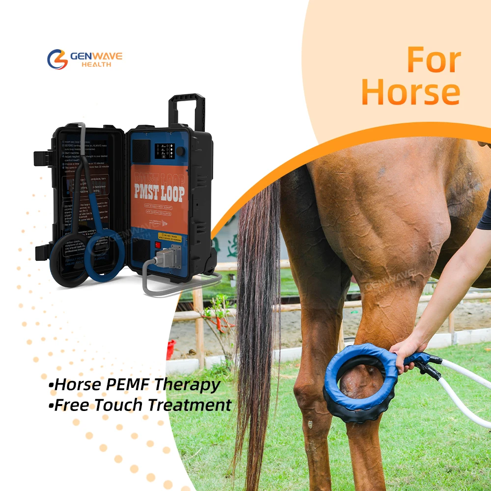 PEMF Machine For Horse Rehabilitation And Regeneration Help Horse Pain Relief PMST LOOP For Horse