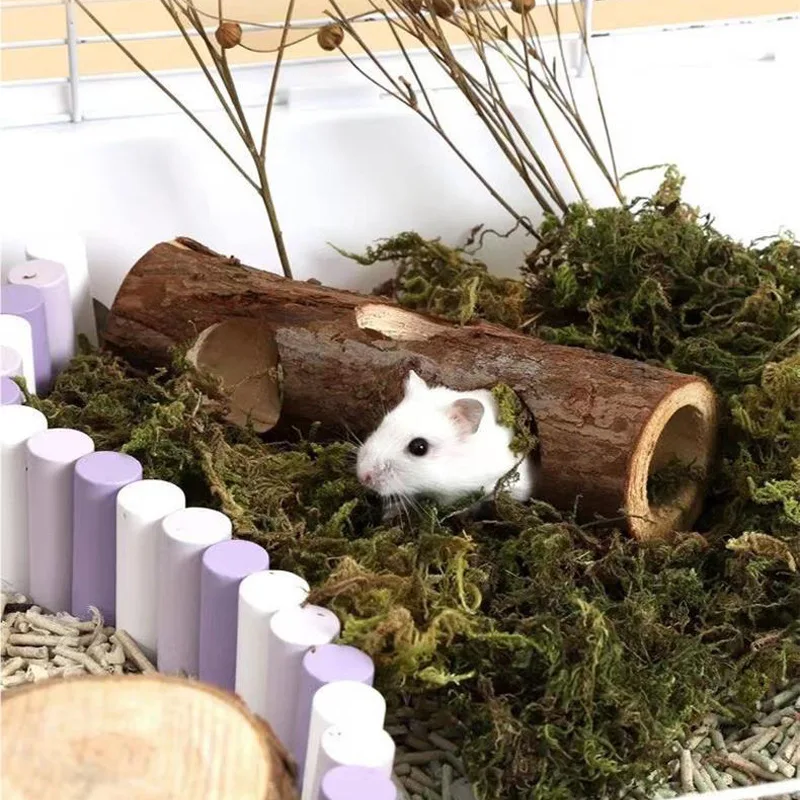 Wooden Hamster Tree Hollow Toy Fir Stump Hideout Burrow Tunnel Cage Decor Chew Grinding Toy for Small Pet Syrian Hamster