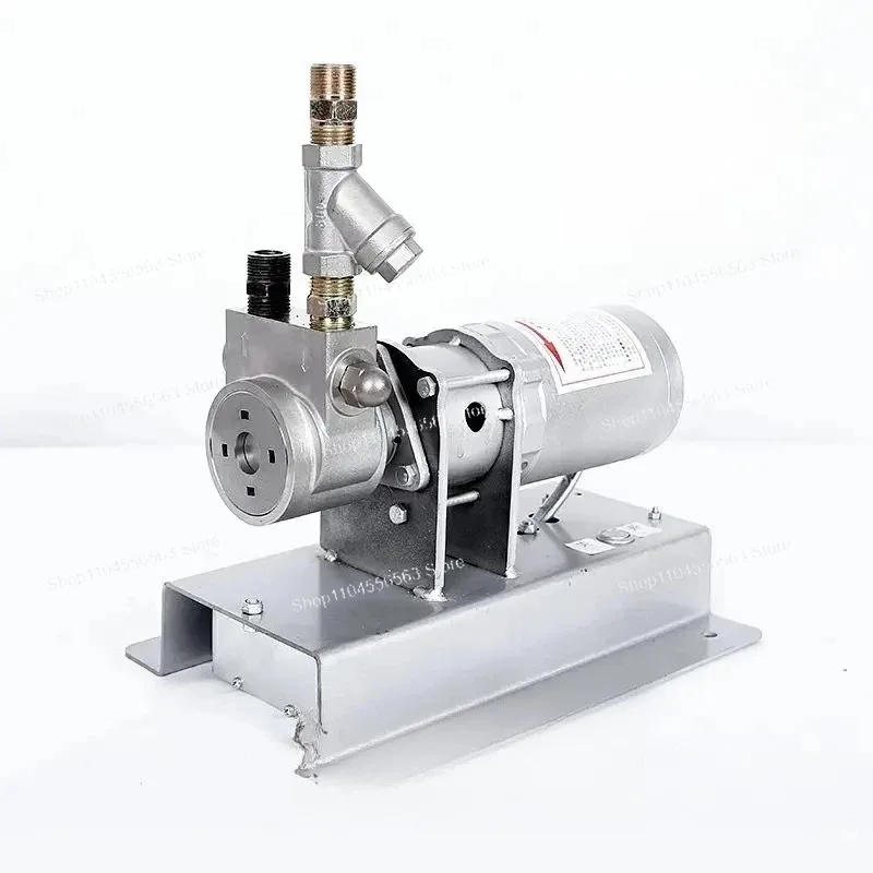 Portable 12V Propane Liquefied Gas Pump - Small Vehicle-Mounted Air Infusion Pump