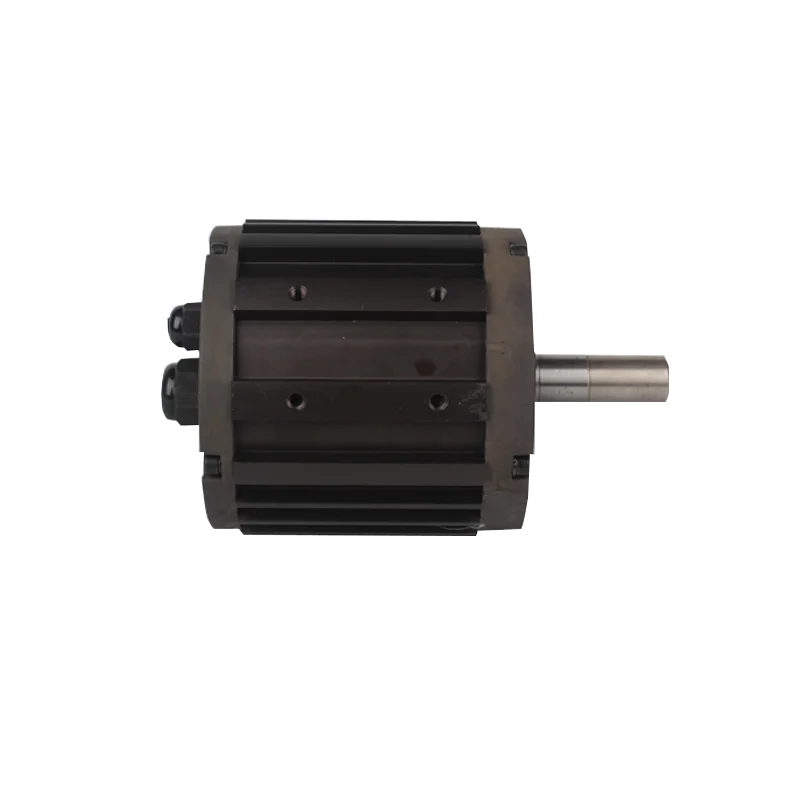 

20kw 48v brushless dc motor