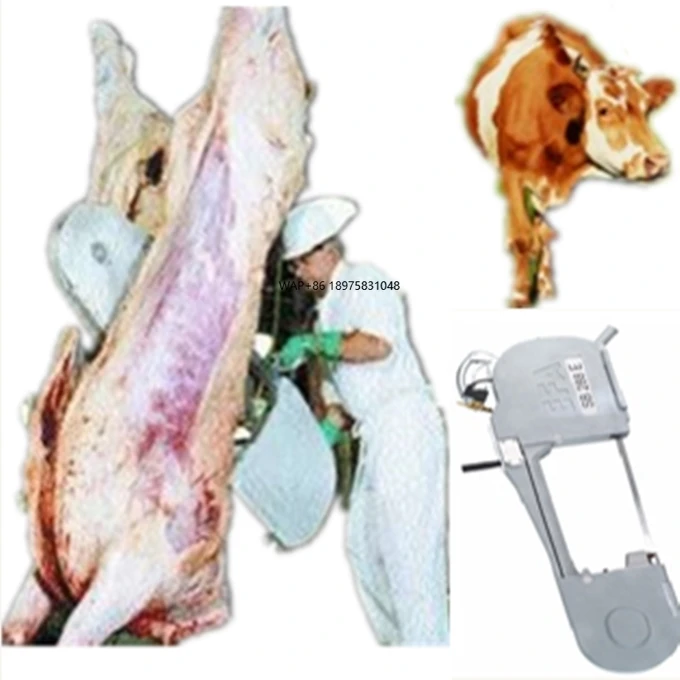 

Livestock Cattle and sheep slaughtering equipment Beef calf meat processing machine