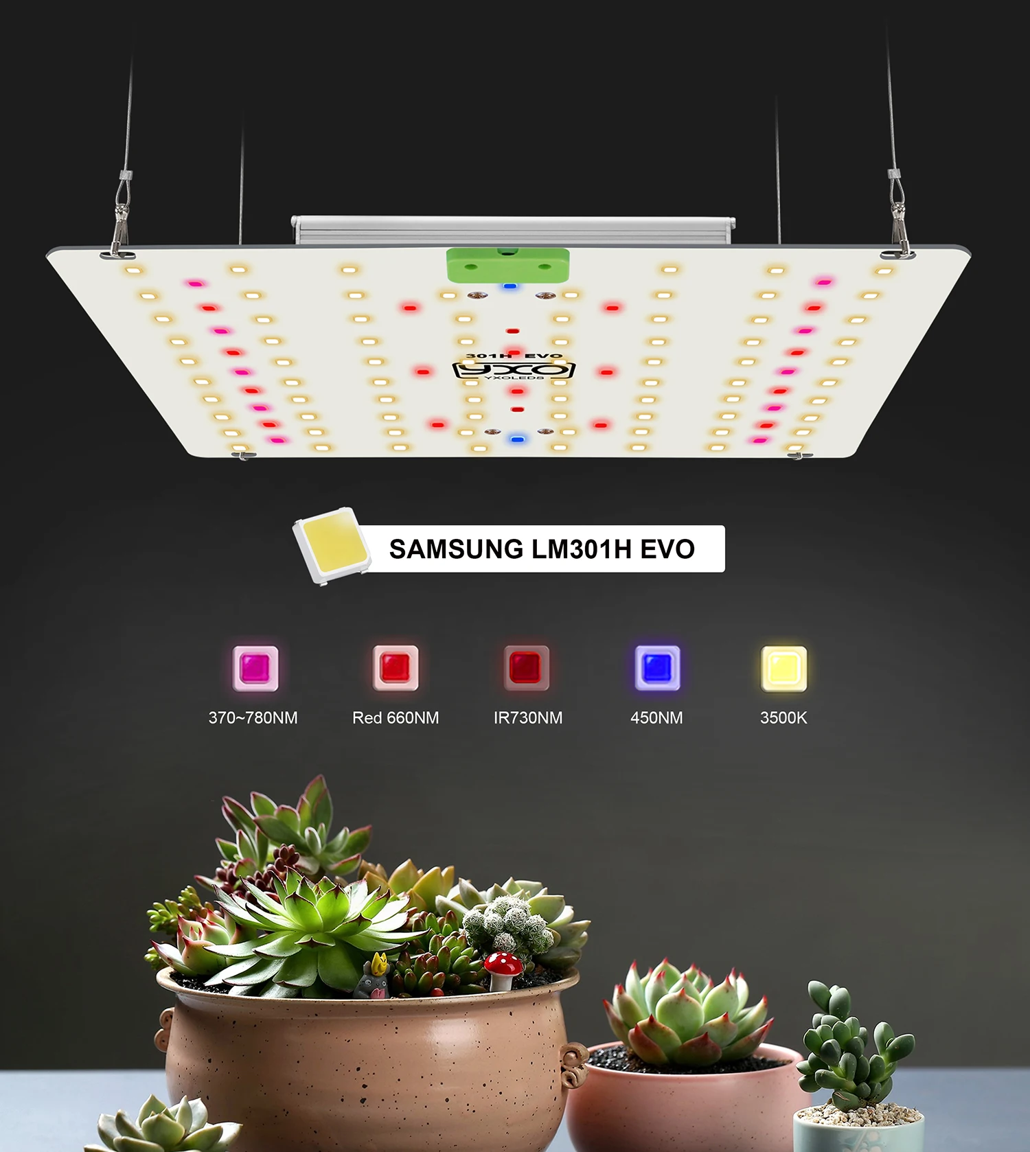 Imagem -05 - Phytolamp de Espectro Completo para Plantas Led Grow Light Veg e Bloom Lâmpada Hidropônica Flor de Estufa Lm301h 65w 120w