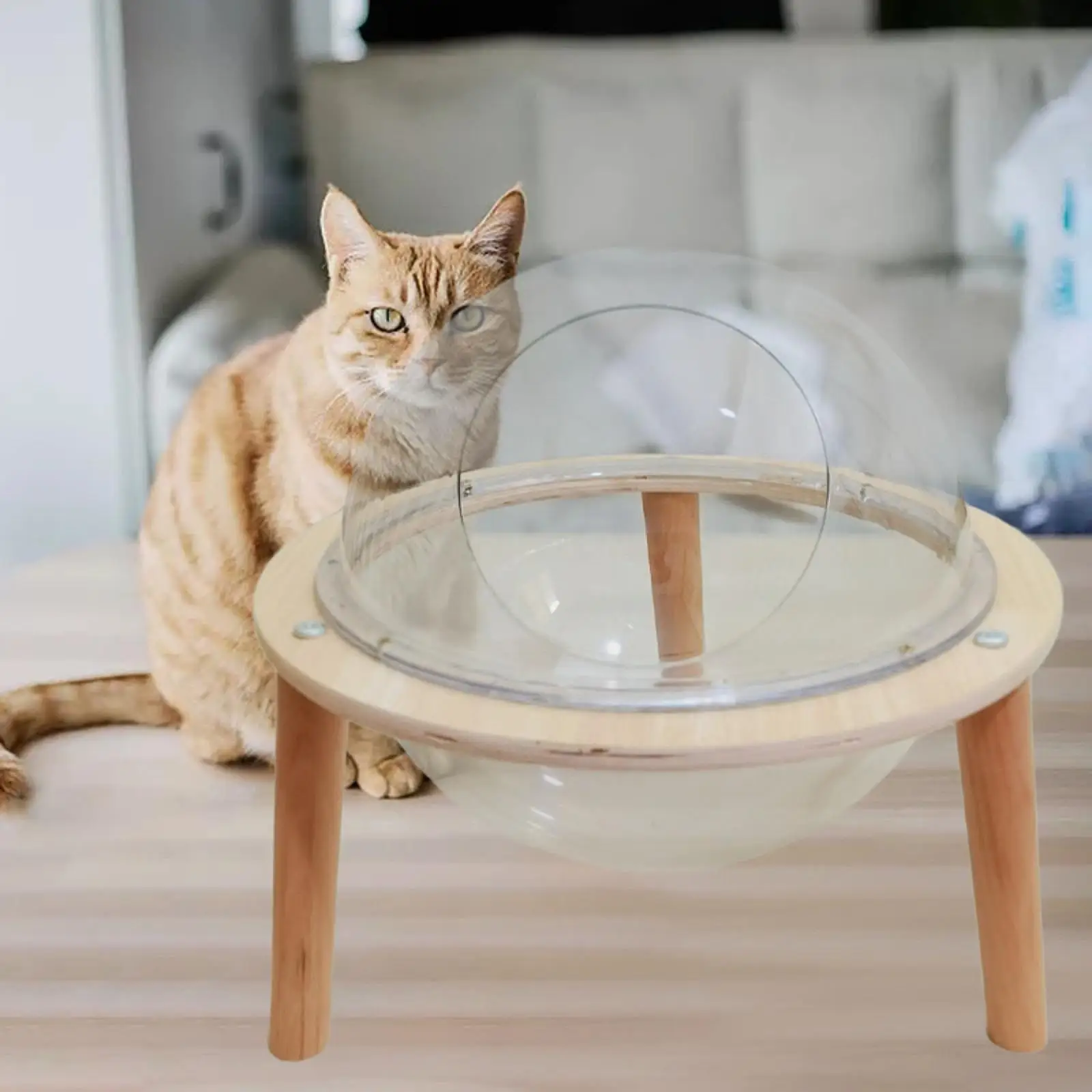 

Space Capsule Cat Bed Sleeping Bed All Seasons with Acrylic Dome Wood Stand Stable Small Pets Bed Kitten Nest without Cushion