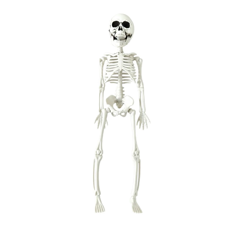 30CM Halloween Skeleton Figurine – Realistic Human Bone Decor Prop for Bar Haunted House Escape Room Party