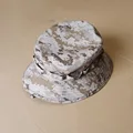 AOR1