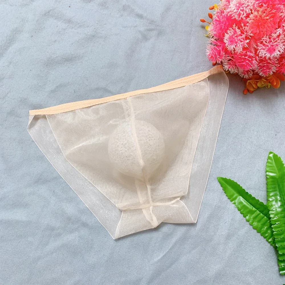 

Sexy Mens Mesh See Through Underwear Low Waist Bikini Briefs Soft Pouch Panties Elastic Sheer Underpants Ultra Thin Erotic Linge