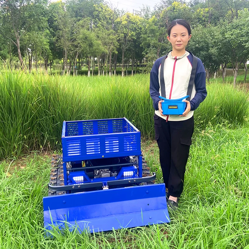 CustomizedHigh Cost Performance  Electric All-Terrain 360° Rotating Lawn Garden Shrub Household Crawler Remote Control