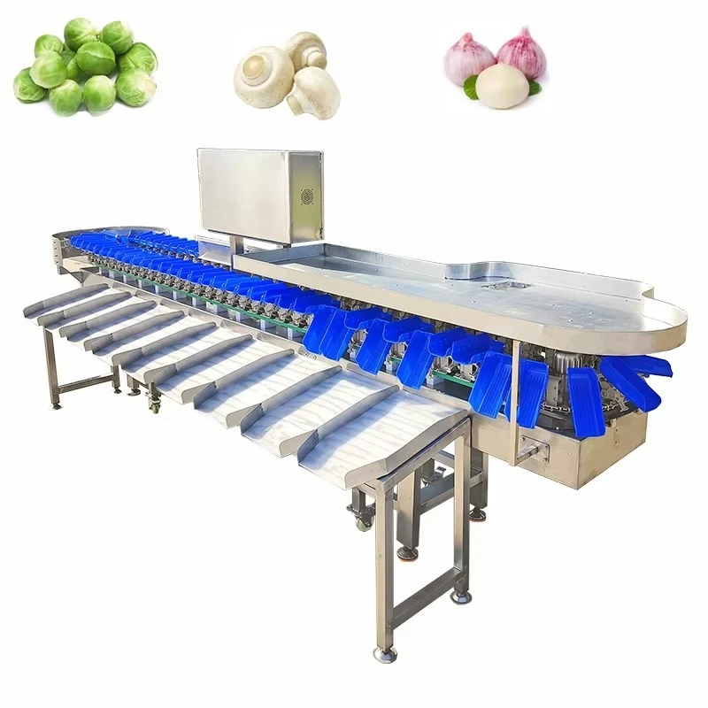 Automatic Fruit Grading Machine 6 Grades Vegetable Weight Sorting Equipment