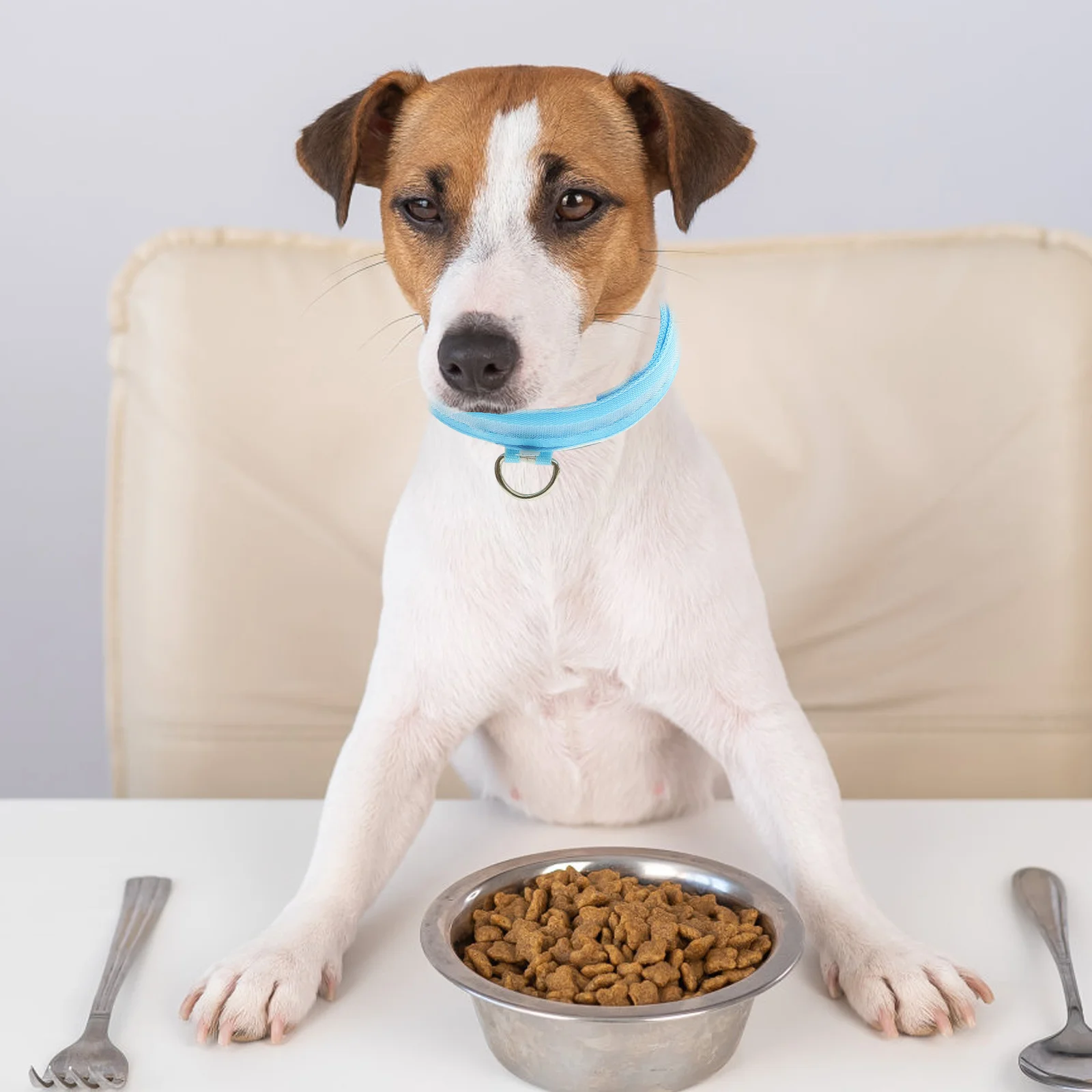 

LED Light Pet Ring Luminous Dog Collar Pet Cat Collar Personalized Collars (Blue, Charging Style, XL)