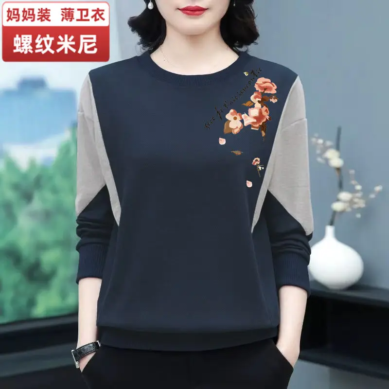 Women's Early Autumn Sweater Thin Spring and Autumn Loose Covering Small Shirt Westernized Long Sleeved Leisure Female Tops