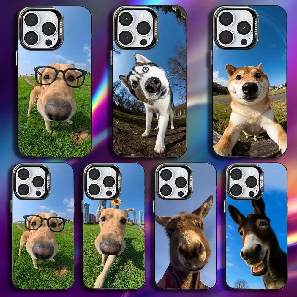 

Funny Cute Animal Phone Case For iPhone 17,16,15,14,13,12,11,Pro,Max,Plus,Mini,XS,SE Anti Fall Black Matte Hard Bumper