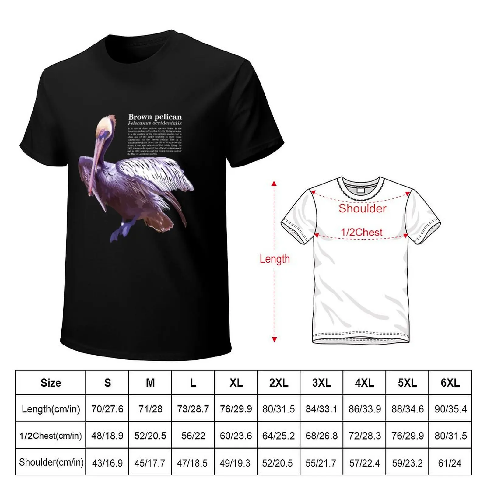 Brown pelican late in the afternoon T-Shirt Basic Solid Tee for Daily Use
