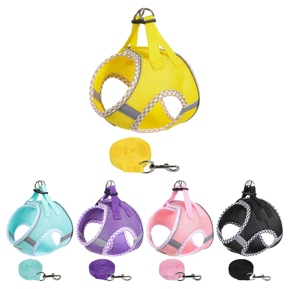 Arnés y correa para perro-gato - Accesorios de paseo diario práctico