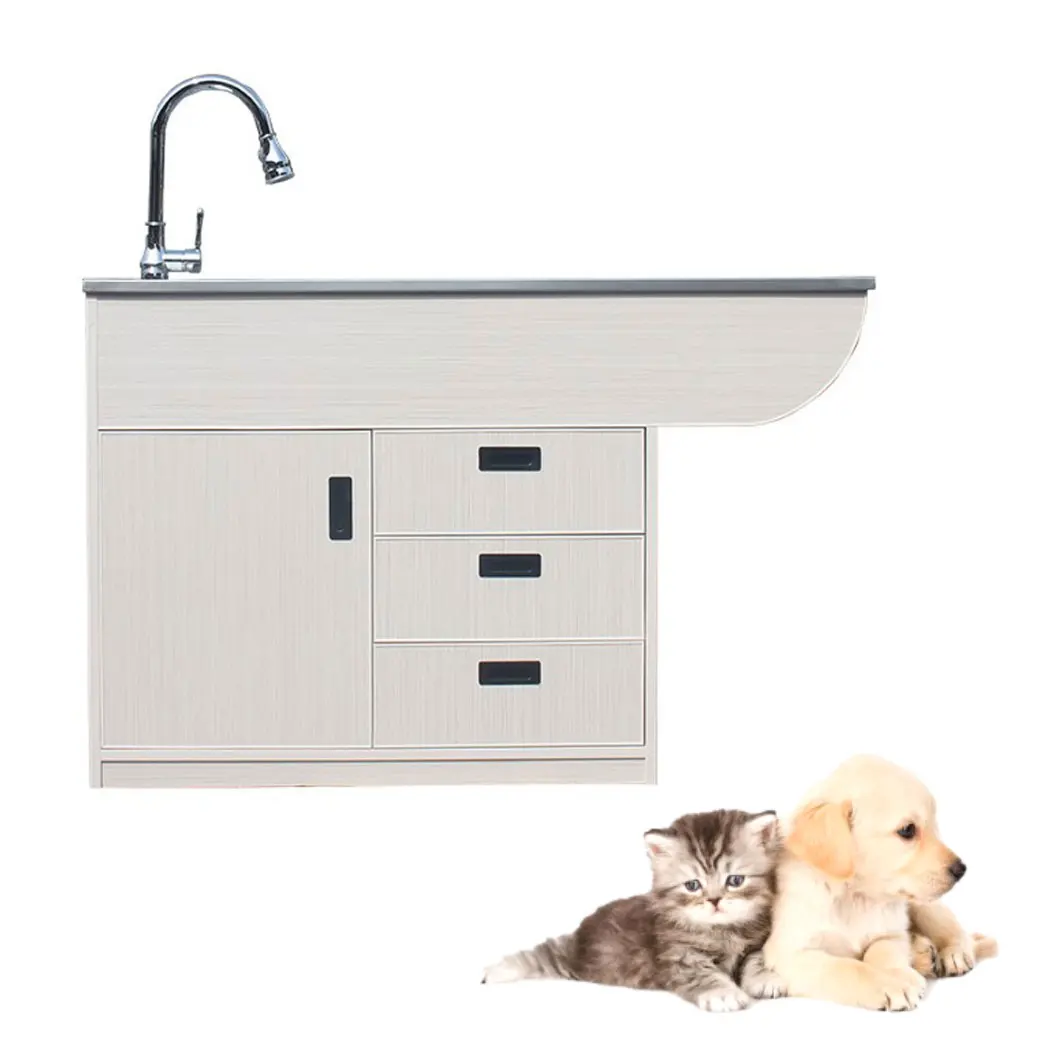 Veterinary Equipment Wooden-frame Animal Operating Washing Wet Pet Disposal Station for Clinic