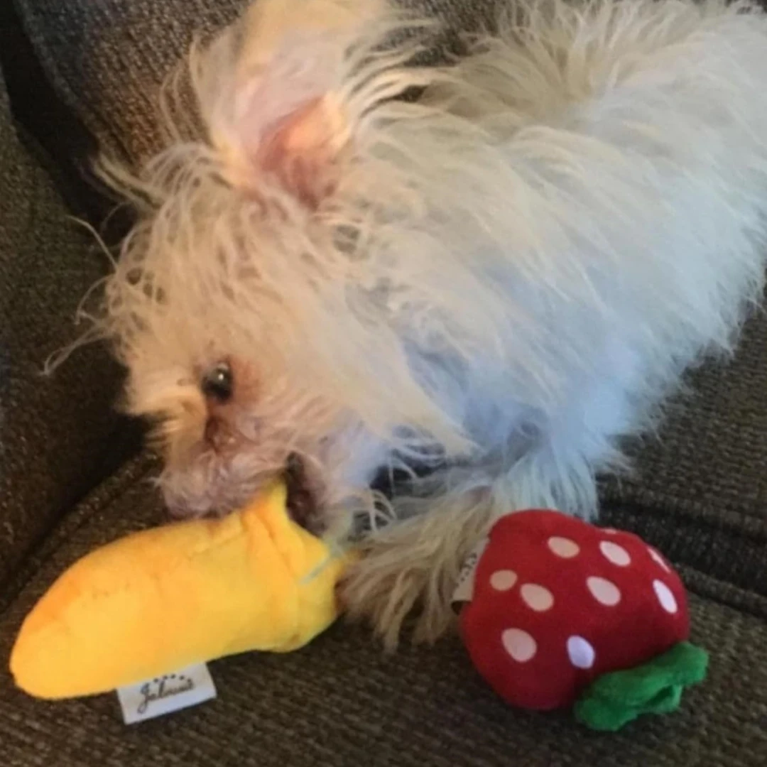 Thumbnail 4 - #72 Ranked Plush Puppy Toys Picks in 2026