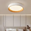 Luz de techo circular LED nórdica, sala de estar, comedor, balcón, dormitorio dual, decoración del hogar, accesorios de iluminación interior 2