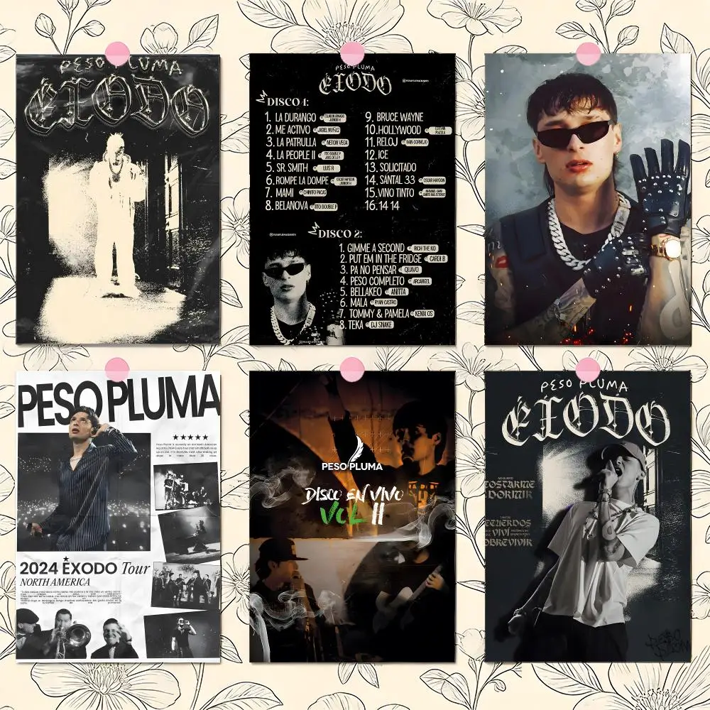 Singer P-peso PlumaS Poster Matte Self-Adhesive Wall Art Print Living Room Bedroom Home Decor