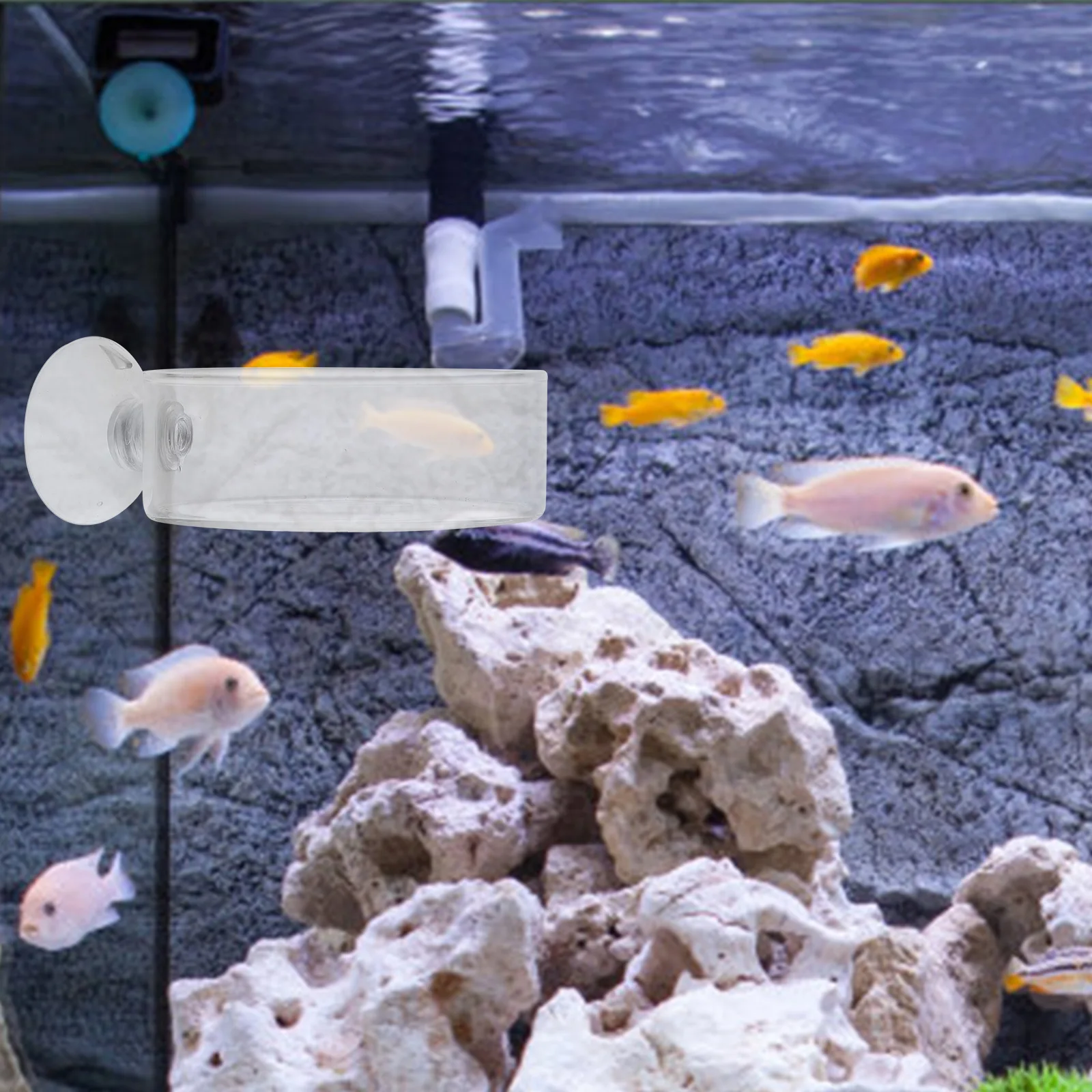 

2PCS Pot Glass Acrylic Feeding Trays Fish Tank Pet Plates Smooth Bright Easy Clean Storage Long Term Use