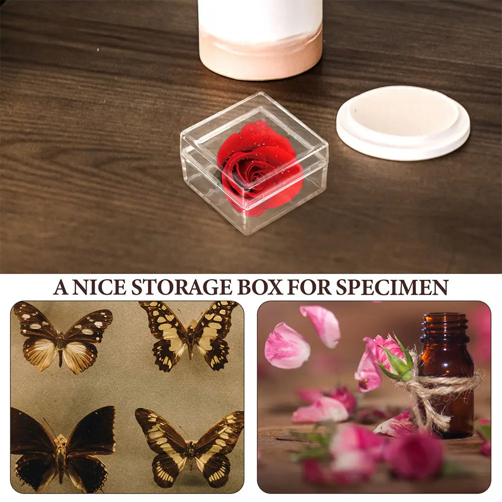 30Pcs Transparent Square Storage Box Clear Acrylic Display Case Mini Plastic Organizer for Collectibles Specimens Gems Small