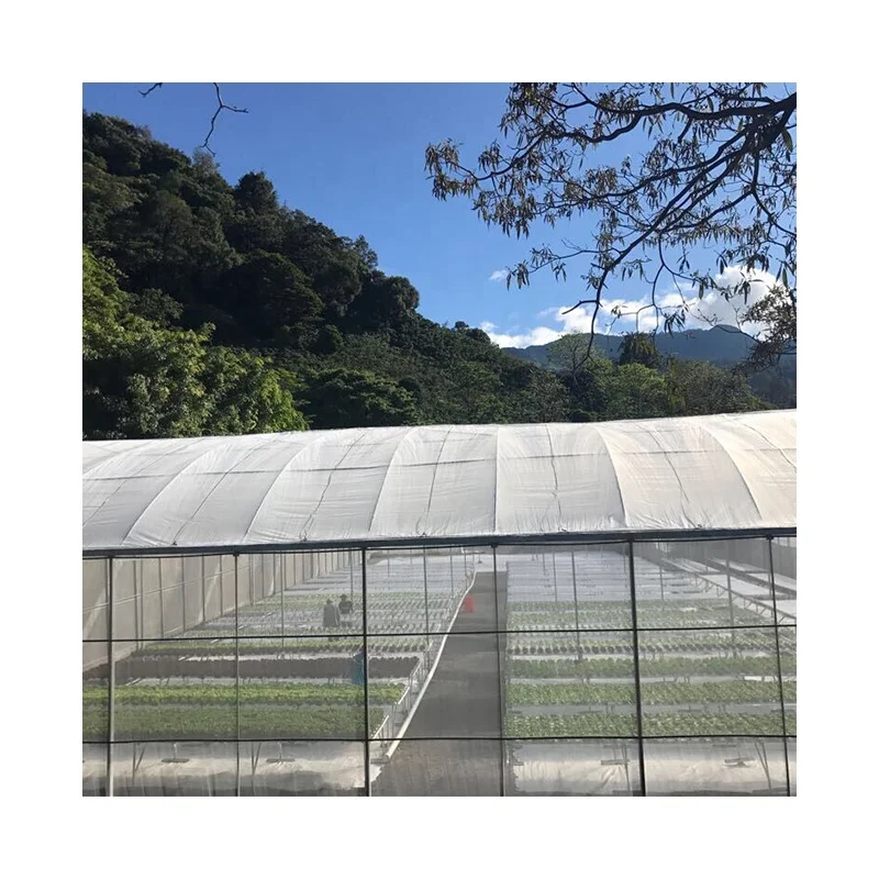 2025Электрический скручиватель пленки в теплице из пластиковой пленки на крыше или боковой автоматический скручивающий блок