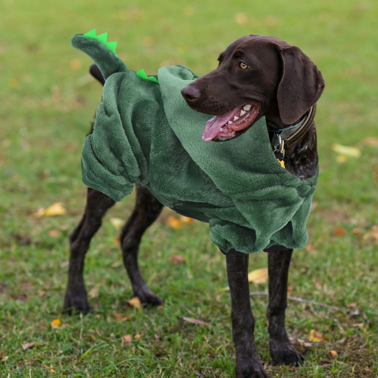 

Pet Dog Halloween Dinosaur Costume Jumpsuit Warm Puppy Clothes Outfit for Small Dogs Pet Outfit Dog Clothes