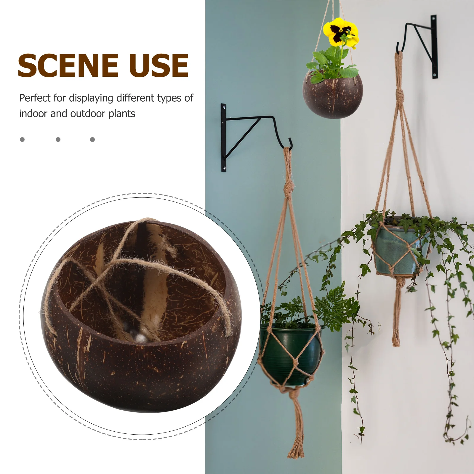

Coconut Shell Hanging Flower Pot Natural Planter for Indoor Outdoor Use Wall Mount Basket Decor Suitable for Balcony Garden