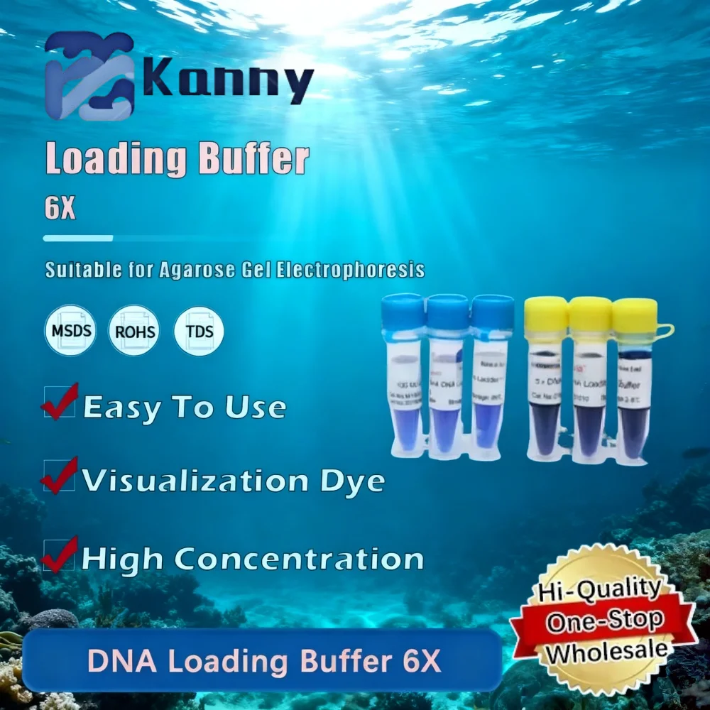 DNA Loading Buffer 6X for Nucleic Acid Gel Electrophoresis and Laboratory Research Applications Original Product