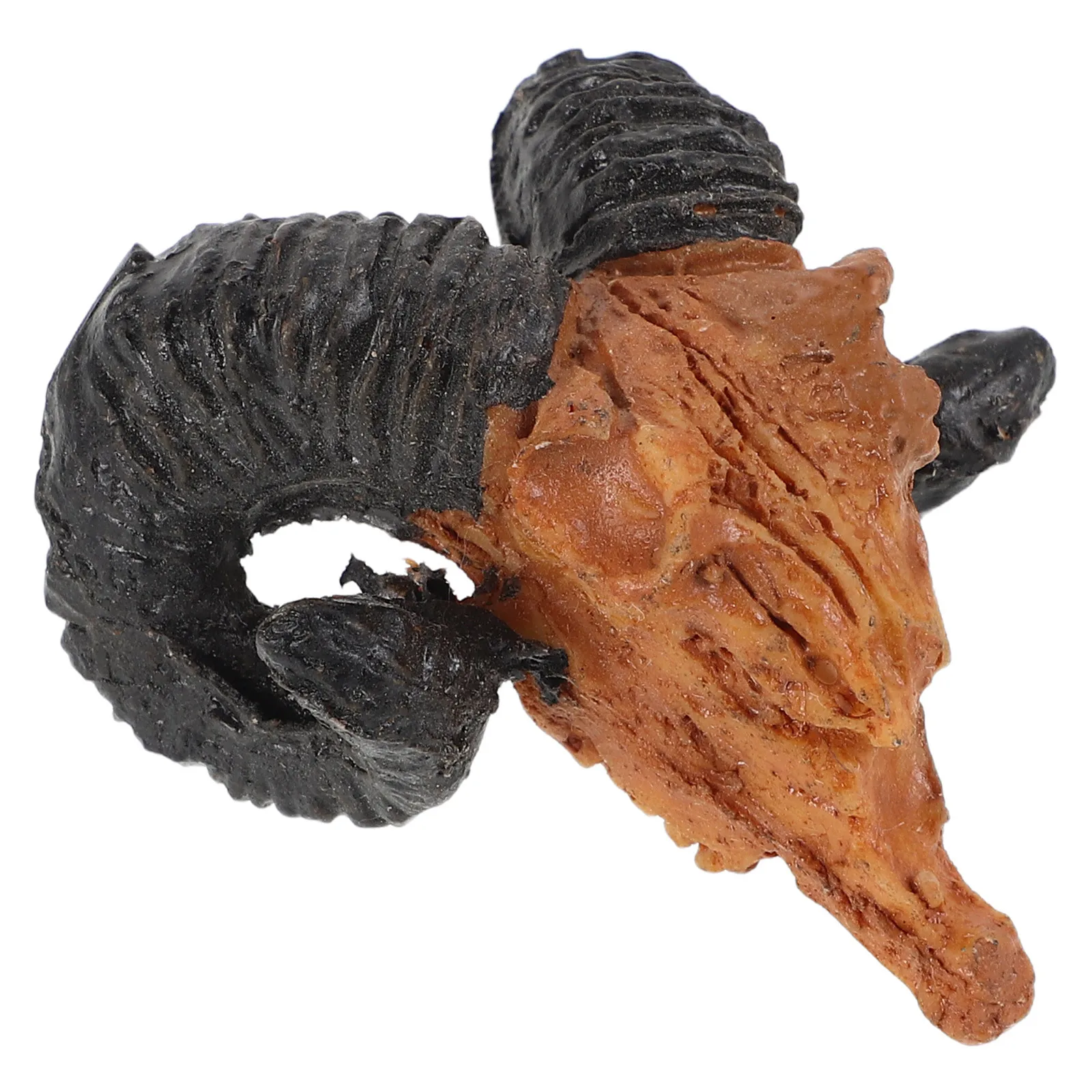 

Mini Resin Goat Skull Heads Miniature Figurines Halloween Micro Landscape Decor Rustic Charm Versatile Style Home Office
