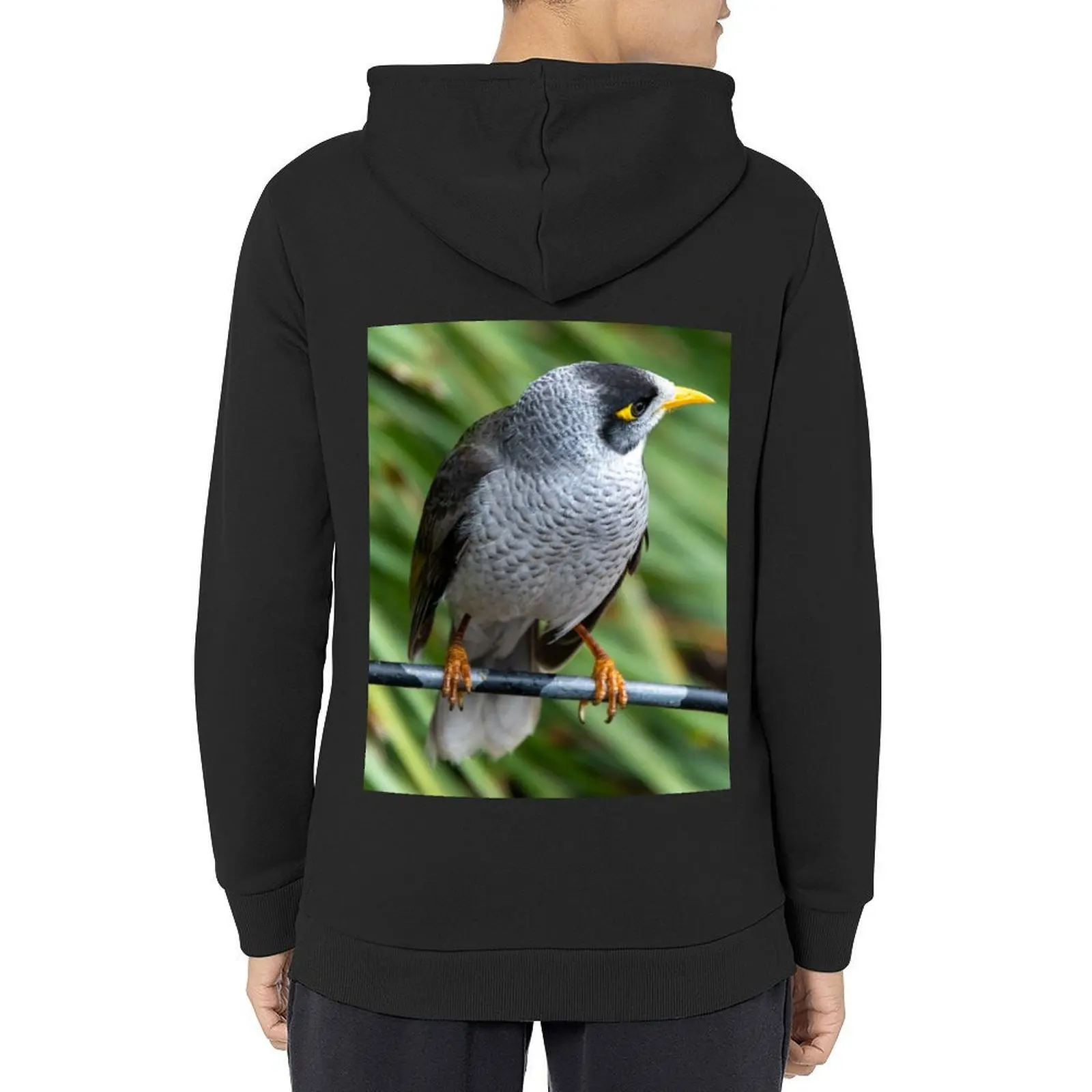 

Noisy Miner Australian Bird Hoodie men's clothes graphic t shirts men mens clothes anime clothing pullover hoodies