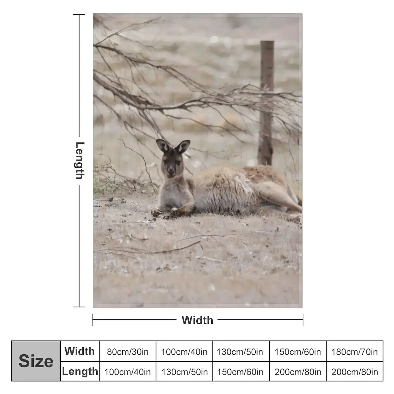 Wild Kangaroo Throw Blanket Decoratives Cute Plaid Luxury Brand Cute Weighted warm winter Blankets