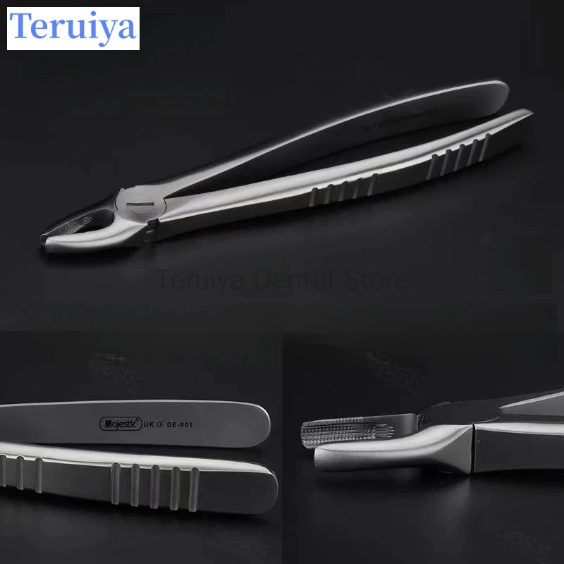 Professional Adult Dental Forceps for Upper Incisors & Canines - High-Grade Stainless Steel Oral Care Surgical Tool