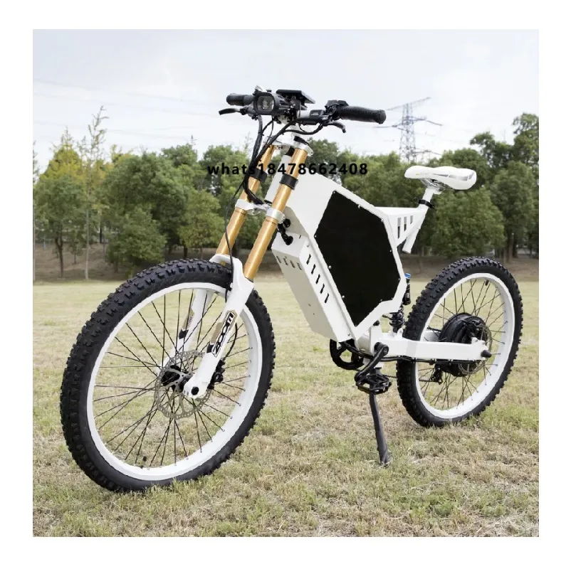 Wholesale Customization Electric Dirt Bike 48v 3000w Hub Motor E Bike Motorcycle Controller Bicycles for Adults