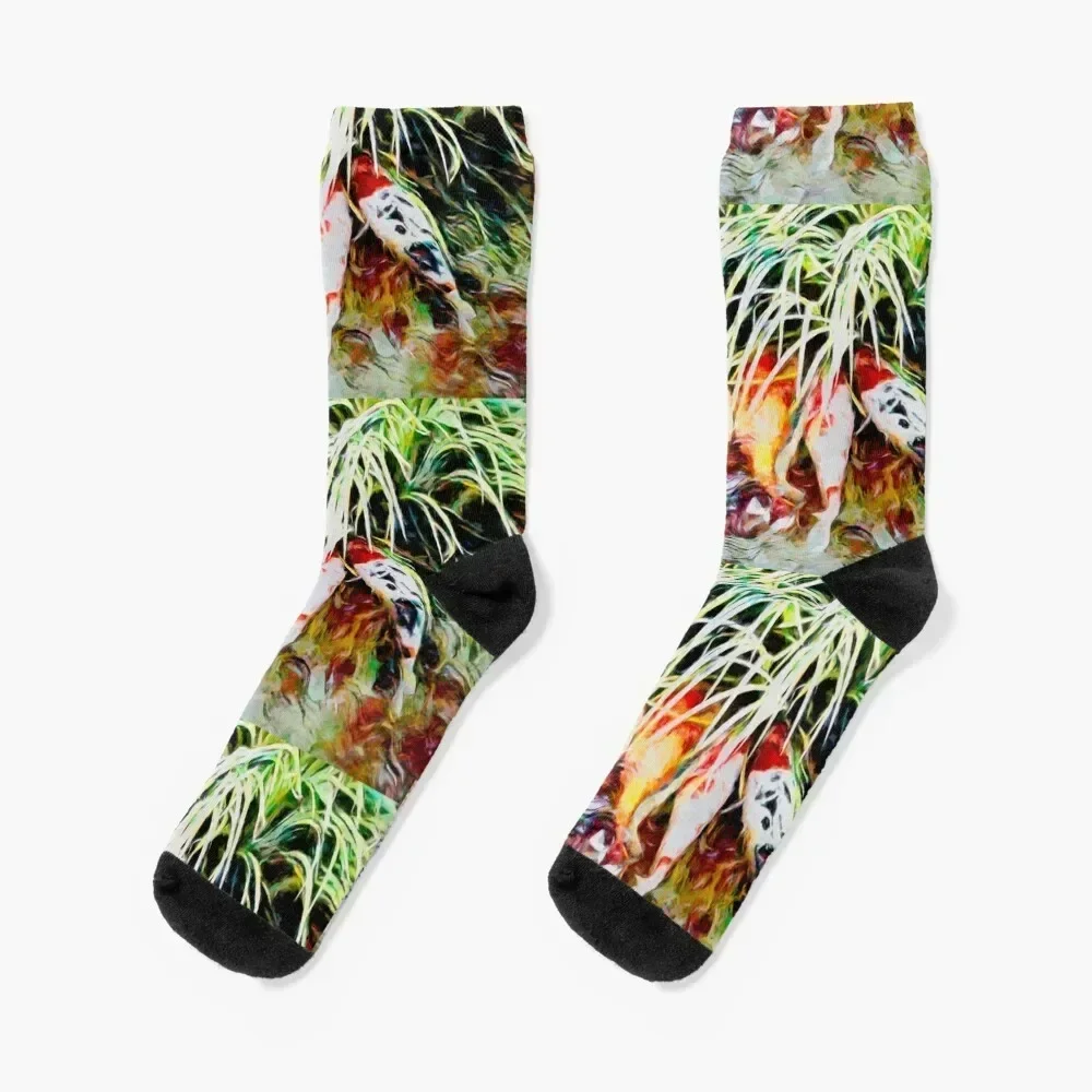 

Koi 27 Socks with print Stockings compression gifts bright garter Men Socks Women's