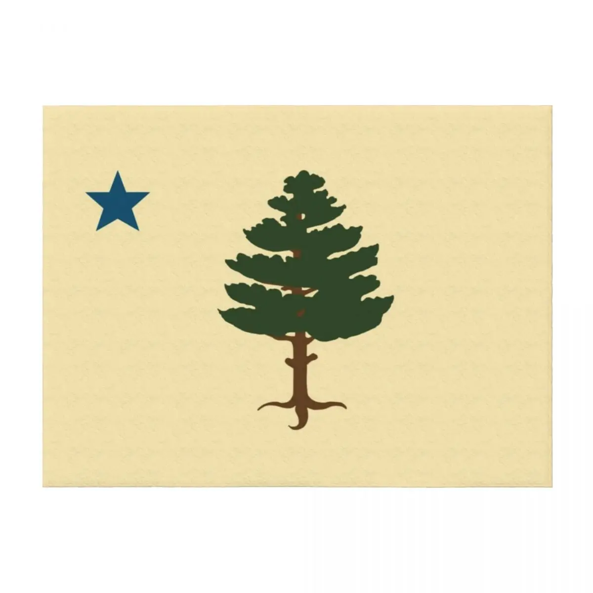 

Maine Flag 1901 Throw Blanket Luxury Designer Baby Luxury Thicken Blankets