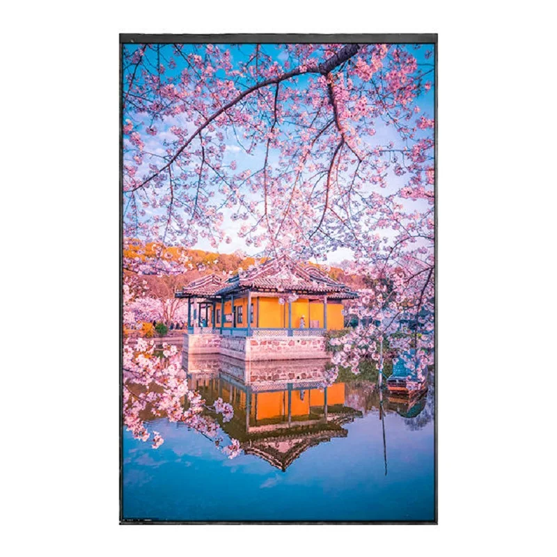 TV101WXM-NF0 10.1 Inch 800*1280 Resolution RGB Vertical Stripe LCD Display For 3D Printer Display Original Test Display Screen