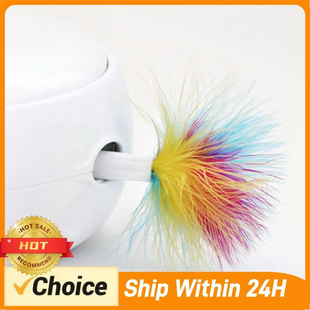 3 Pcs Auto Stick Feathers Replacement Head Kitten Cat Feather Toys Assortments Replacement Teaser Funny Exercise for Kitty Cats