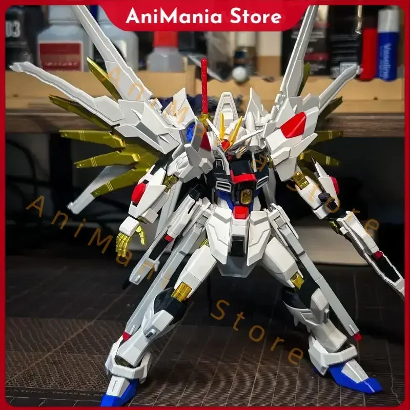 

Gaogao 1/144 Hg Extraordinary Endless Strike Freedom Assembly Model Kit Action Figures Collectible Toy Ornament Model Gift