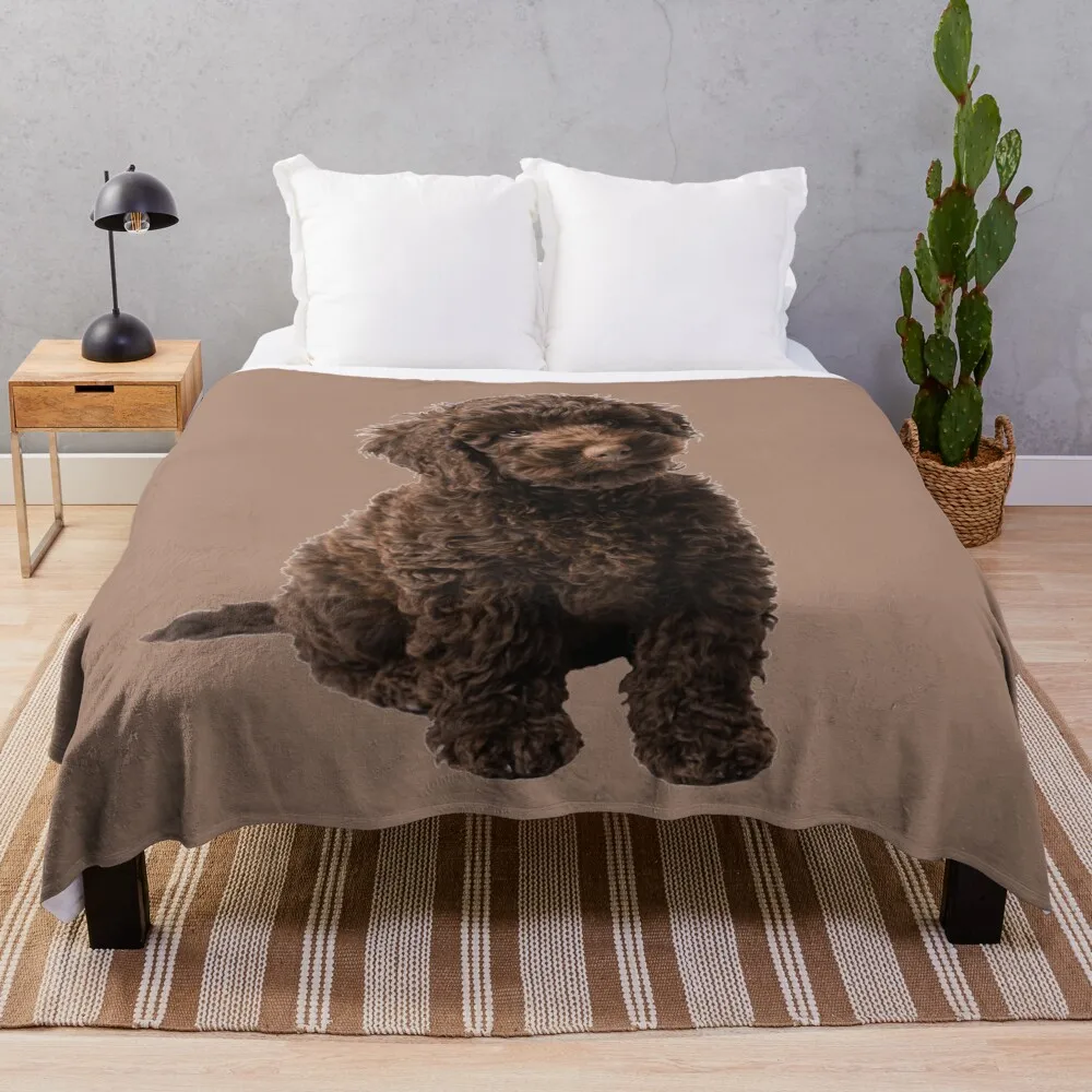 Labradoodle Throw Blanket Blankets For Baby Soft Plush Plaid For Decorative Sofa Blankets