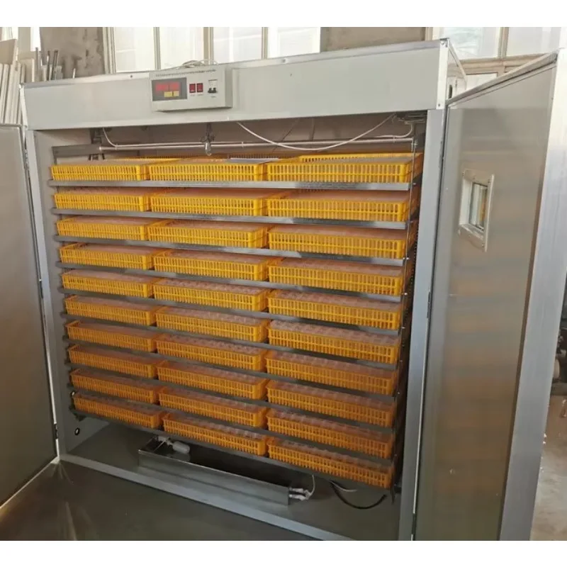 2025 Bom preço S Capacidade automática de frango S