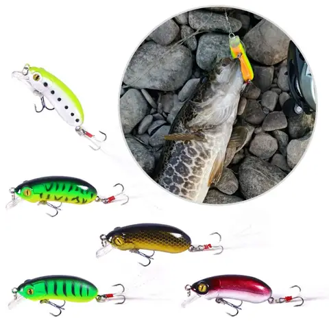 5Pcs 10g Diving Depth 0.2-2m Length 6cm Sinking Bait Spout Bait Convenient Decoy Fishing Lures Swimbait Ocean Boat Fishing