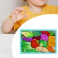 vegetable