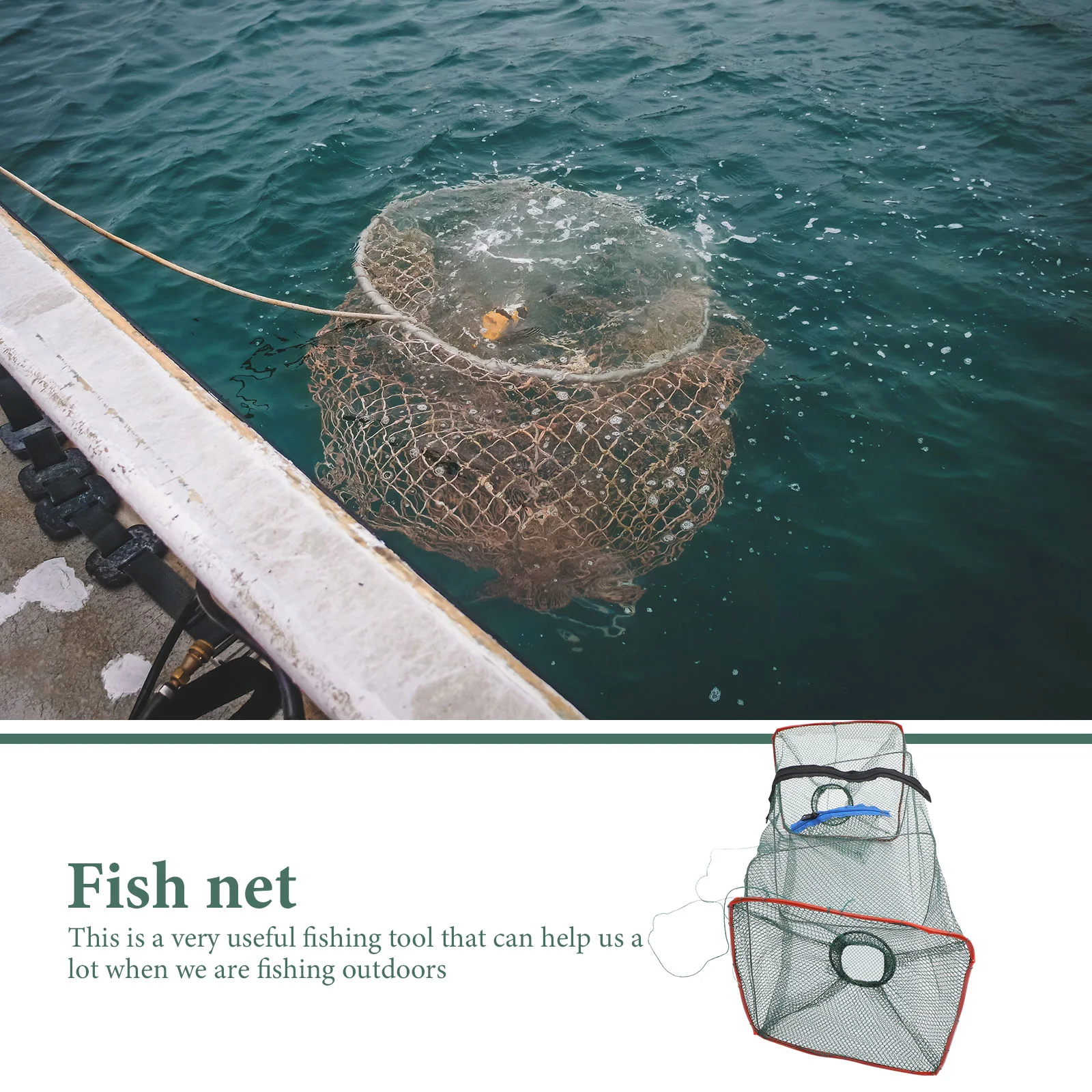 3 Pcs Fishing Shrimp Trap Landing Net for Crayfish Catcher Hunting Materials Carpfishing Keepnet Tank Collapsible Crab